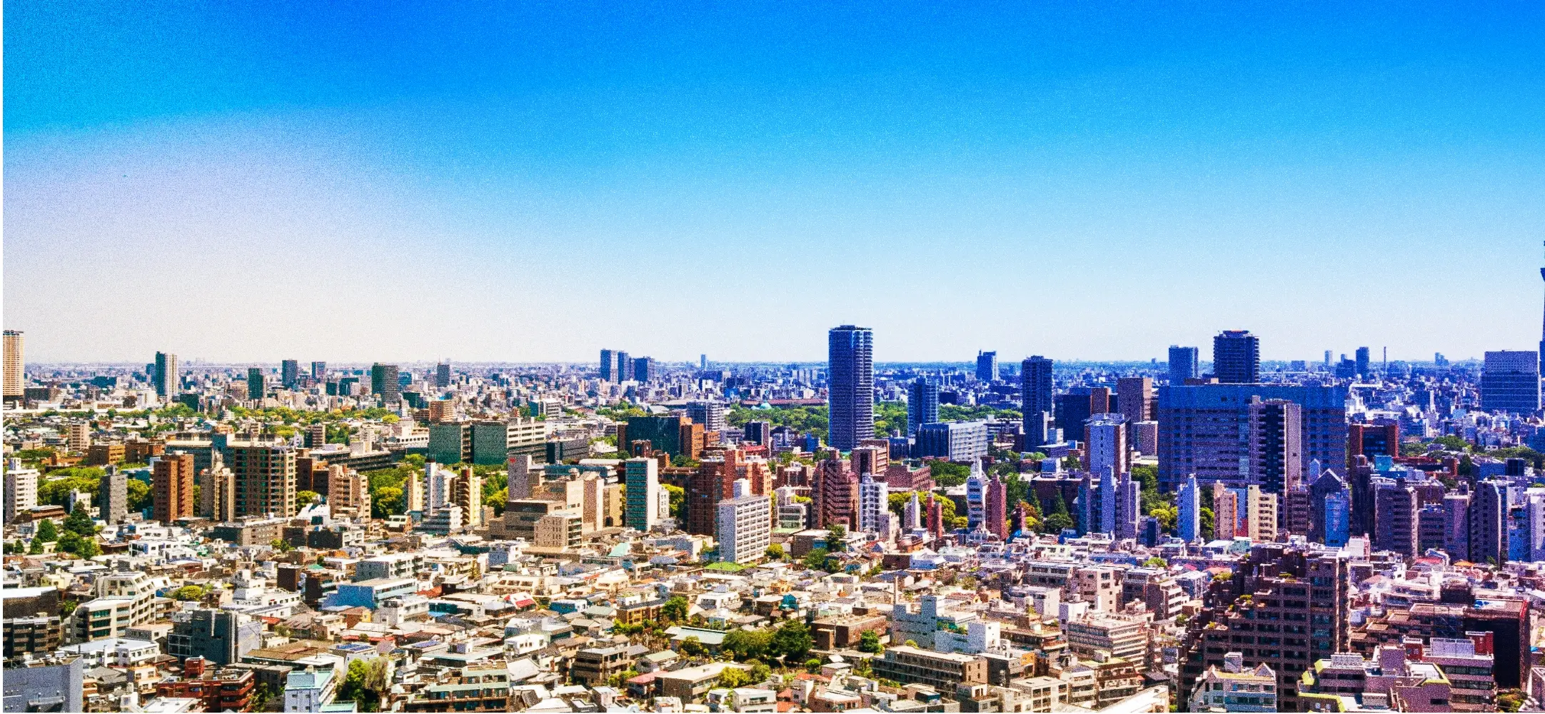東京の景色