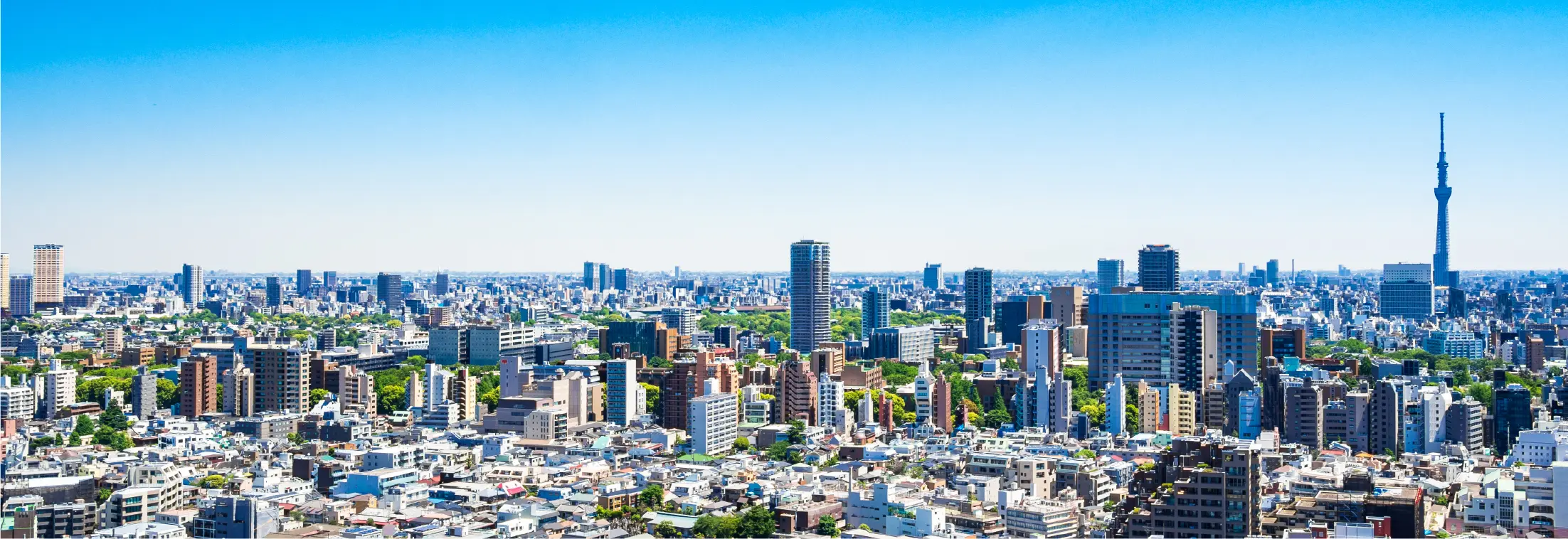 東京の景色
