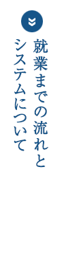 就業までの流れとシステムについて